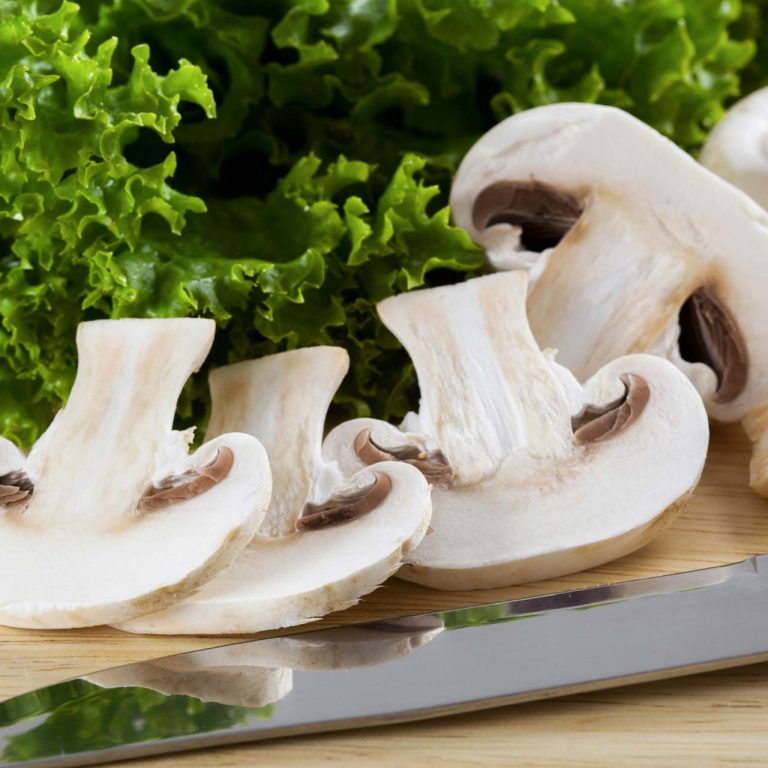 Pilze Champignon-Salat